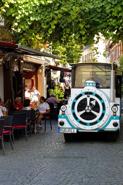 Rüdesheim Sightseeing Tour With the Winzerexpress - Tour Overview