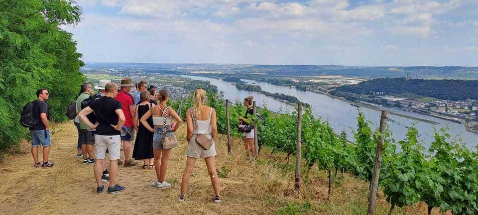 Rüdesheim "The Wine-Tastic Tour" - Tour Overview