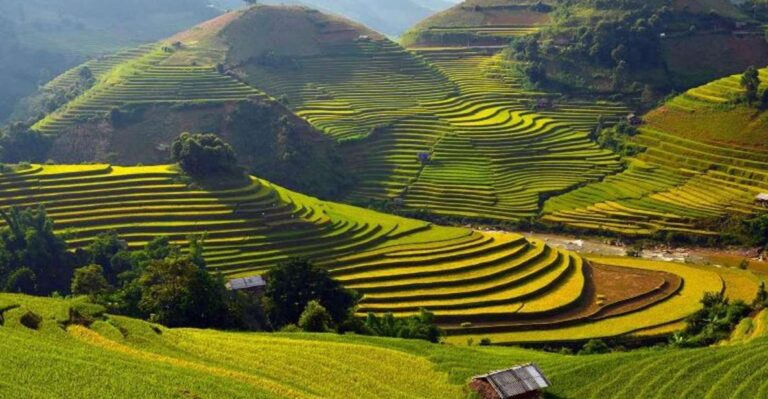 Sa Pa: Muong Hoa Valley Trek and Local Ethnic Villages Tour