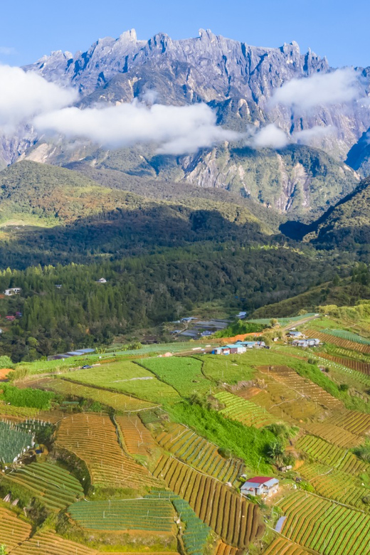 Sabah : Kundasang Day Tour Nature - Booking and Cancellation Policy