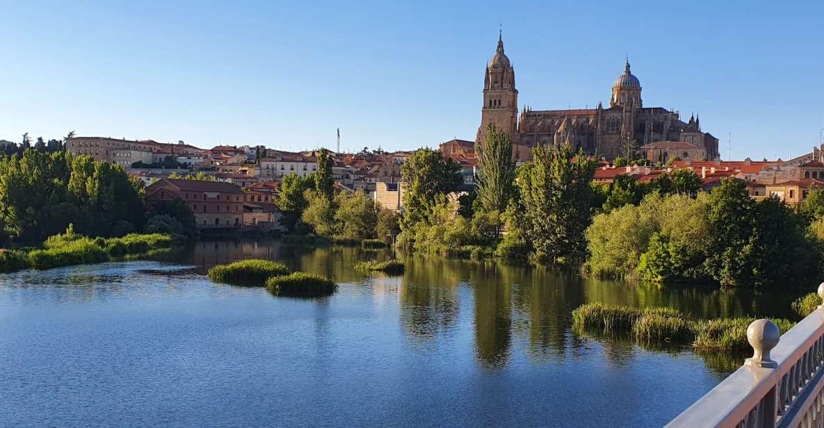 Salamanca: Private Tour of the Most Important Sites - Tour Overview and Pricing