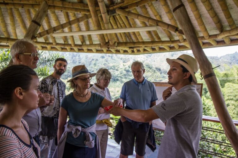 Salento: Private Hacienda Venecia Coffee Tour