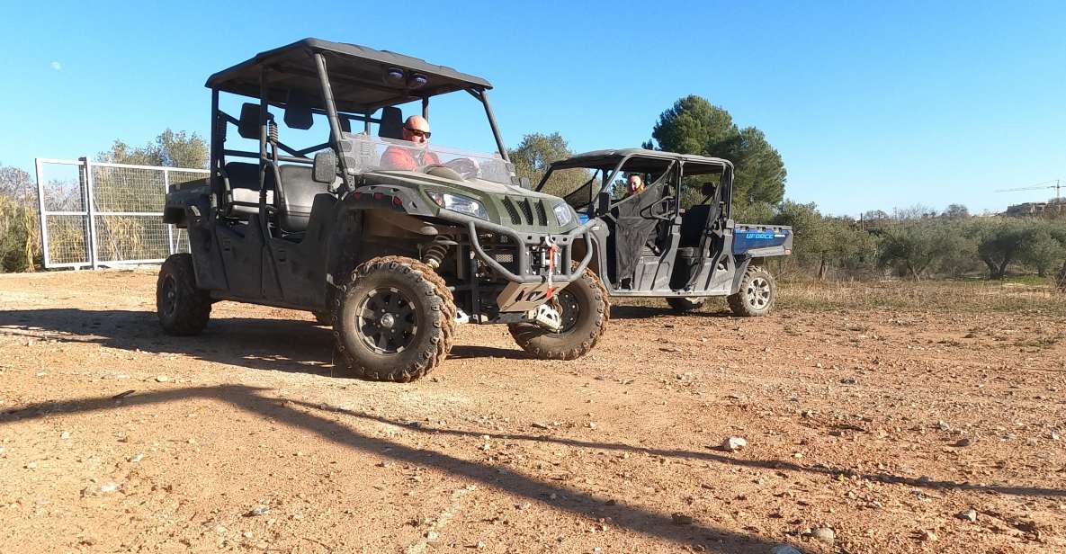 Salou: Kids Buggy Driving Experience in Safe Environment - Activity Overview