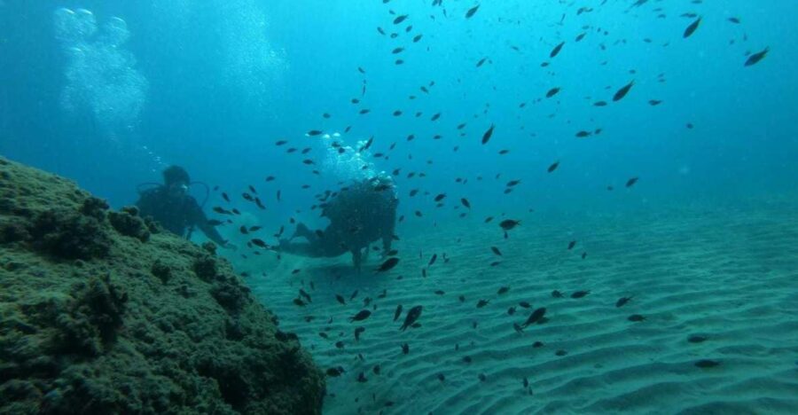 Salou: Scuba Diving for Beginners