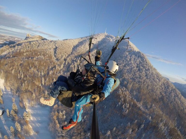 Salzburg Like an Eagle: Tandem Paragliding From Gaisberg