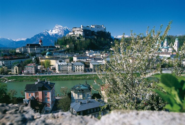 Salzburg: Sound of Music Private Half-Day Tour