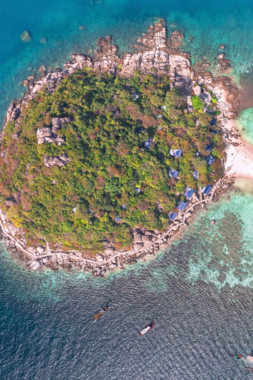 Samui Koh Tao & Koh Nang Yuan One Day Tour By Speed Boat - Important Notes and Conditions