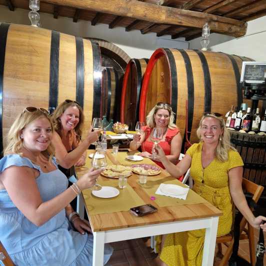 San Gimignano: Wines and Oil Tasting With Vineyards Tour