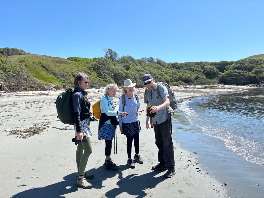 San Juan Island NP: Scenic Coast and Wildlife Hike - Tour Overview