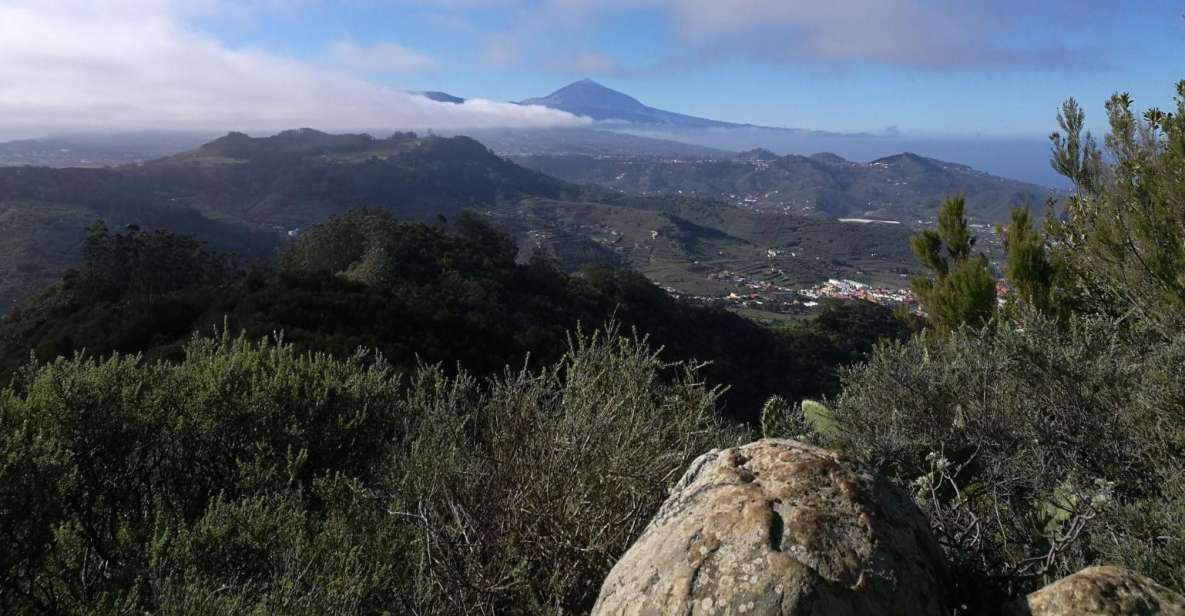 Santa Cruz De Tenerife: 2-Hour Hiking Tour in Anaga Forest - Tour Overview