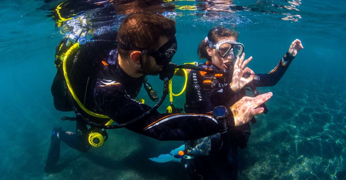 Santa Cruz De Tenerife: Beginners Diving & Introduction - Activity Overview