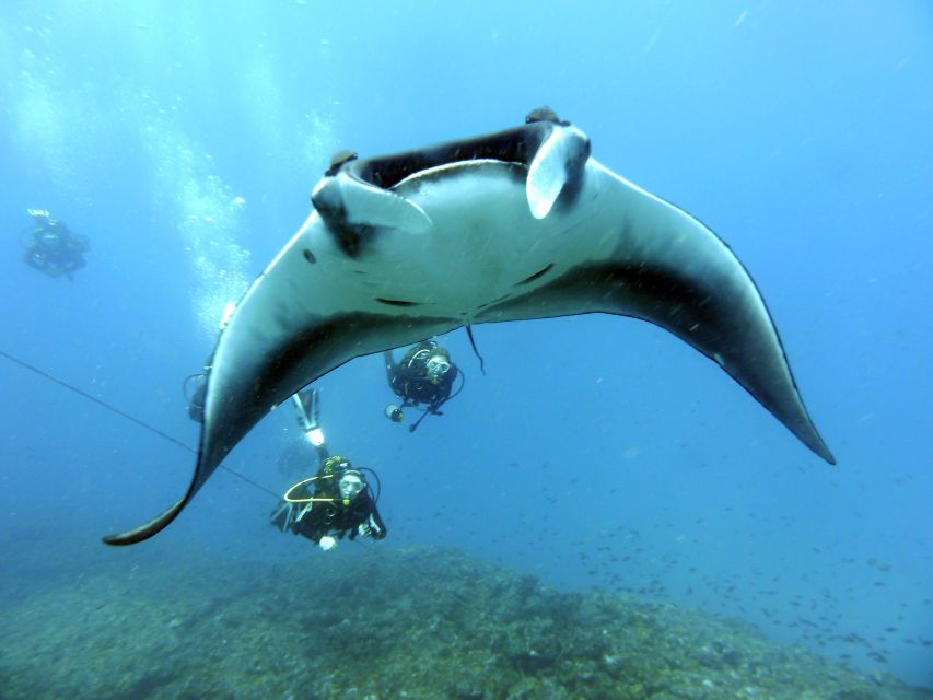 Santa Maria: Scuba Diving Package With 3 Dives - Package Overview