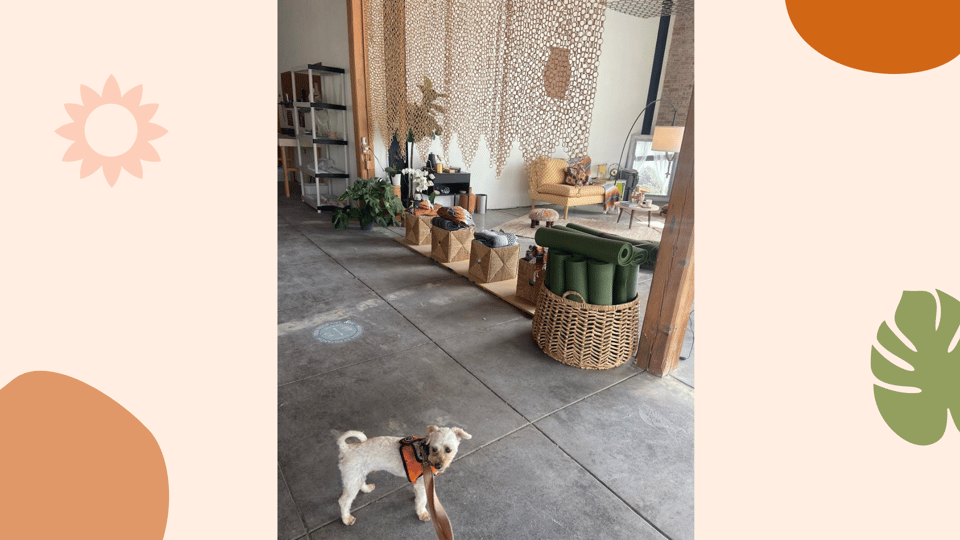 Santa Monica: Dog Friendly Private Ceramics Class - Activities and Experience