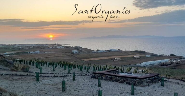 Santorini: Private Agri-Educational Visit to an Organic Farm