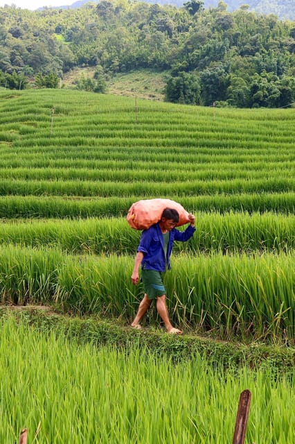 Sapa : 2 Day 1 Night Trekking With La La and Su Family - Overview and Pricing