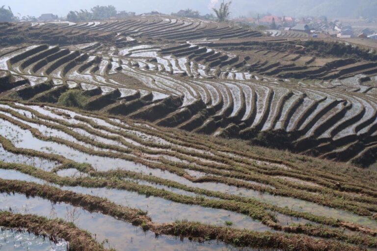 Sapa 2day 1night Trekking Tour