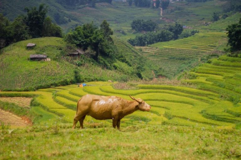 Sapa 3-Day Trekker