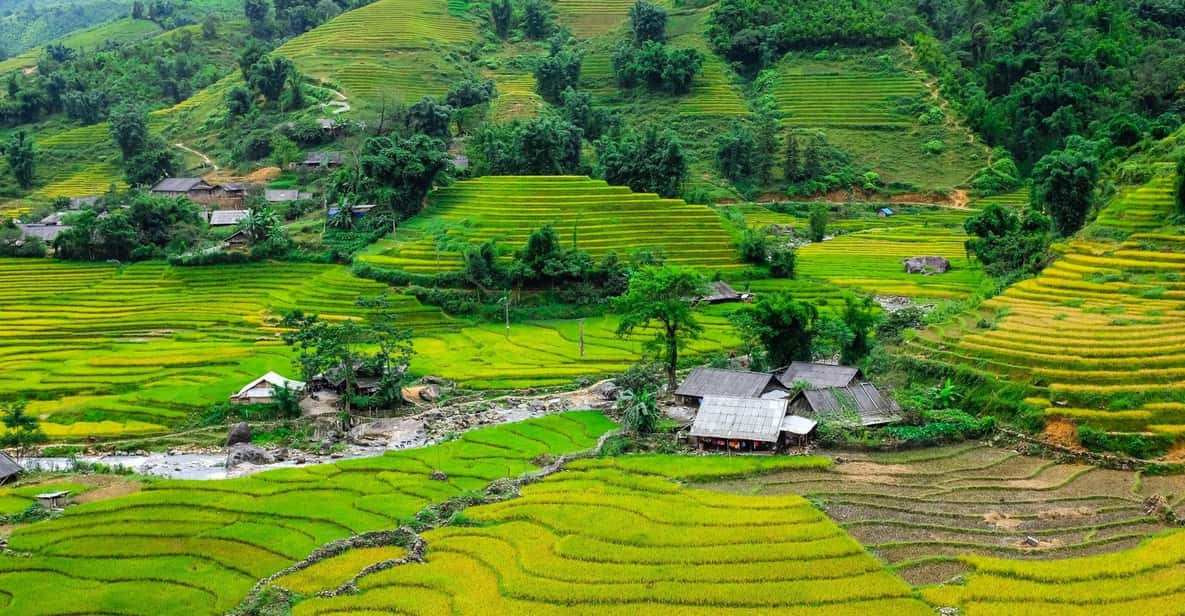 Sapa Beautiful Rice Field, Village - Easy Walking Kid,Senior - Tour Overview and Itinerary