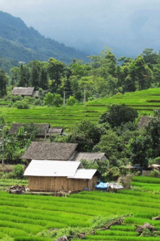 Sapa Escapade: 2 Days 1 Night Adventure From Hanoi - Overview and Pricing Details