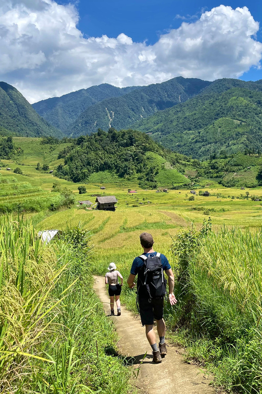 Sapa: Trekking Through Terraced Rice Fields & Valley 1 Day - Overview and Pricing