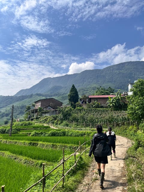 Sapa Trekking Tour Homestay Rice Fields and Bamboo Forest - Tour Overview and Pricing