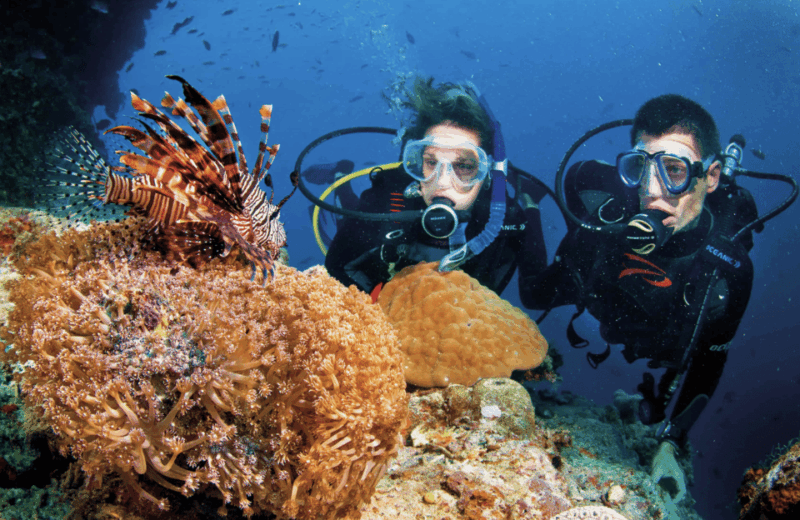 Scuba Dive in Blue Corner - Whats Included in the Dive
