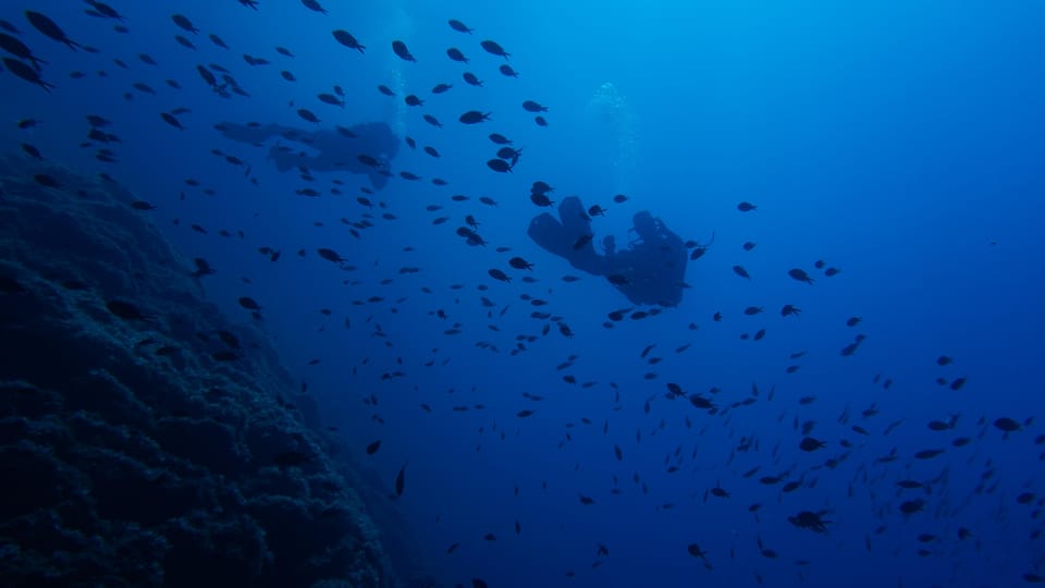 Scuba Diving Experience for Beginners In Greece - Overview of the Scuba Diving Experience