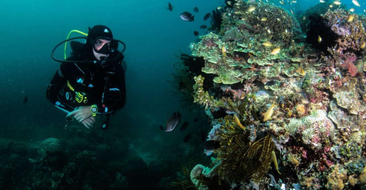 Scuba Diving in Boracay: SSI Open Water Certification - Diving Experience