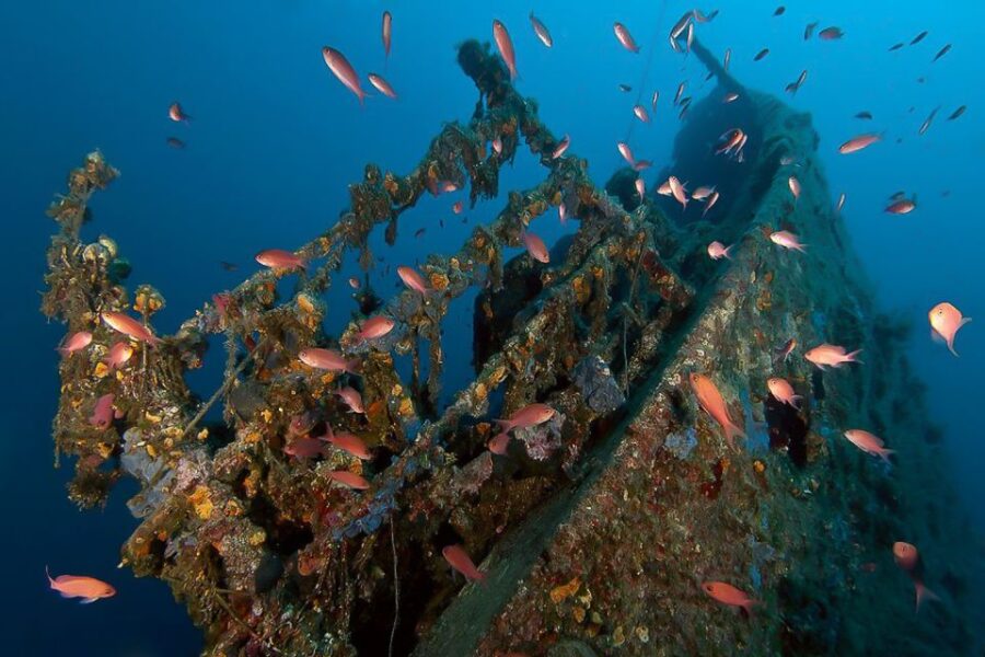 Scuba Diving in Dubrovnik: 1 Dive for Certified Divers - Overview of the Scuba Diving Experience