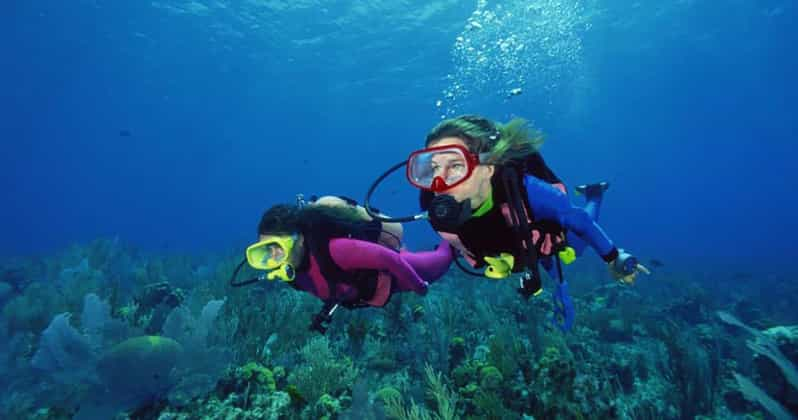 Scuba Diving Tour With Transfer From Alanya and City of Side - Overview of the Tour