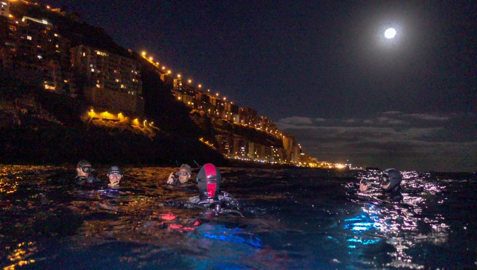 Scuba Night Dive on Tenerife - Overview of the Activity