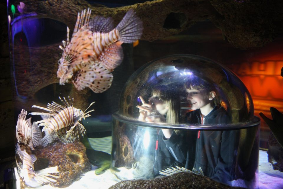 SEA LIFE Istanbul Entry Ticket - Ticket Pricing Details