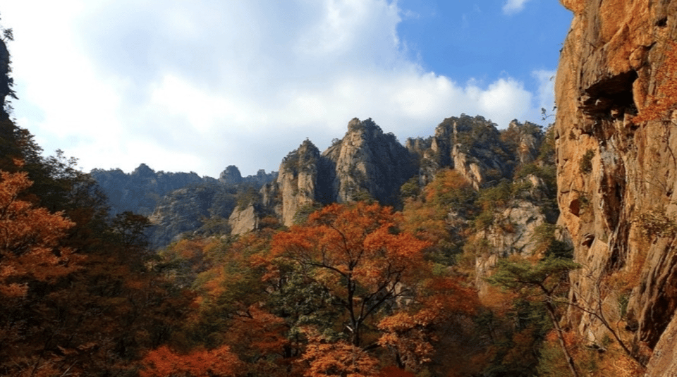 Seoraksan National Park Maple Leaves Tour_Cable Car Optional - Communication and Support