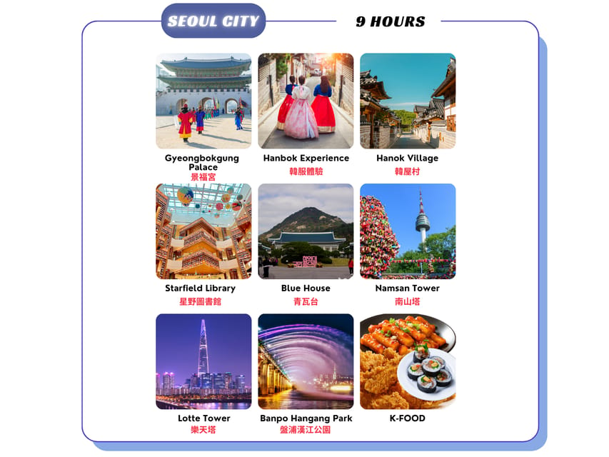 Seoul City 9HOUR : Private Car Rental Tour With EN Driver - Vehicle and Driver Information