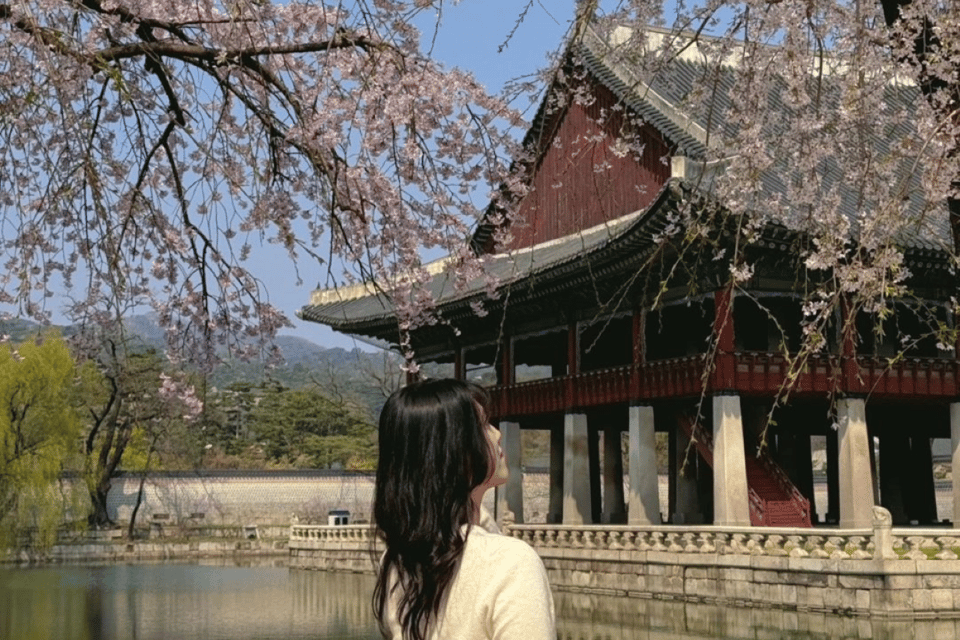 Seoul City Walking Tour - Experience Details