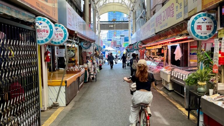 Seoul: Han River Urban Nature Bike Tour