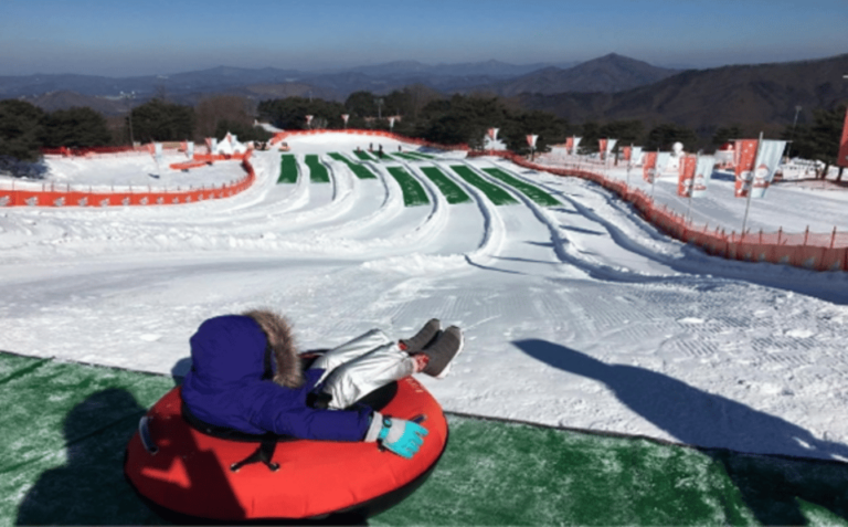 Seoul: Snowyland in Vivaldi Park With Nami or Alpaca