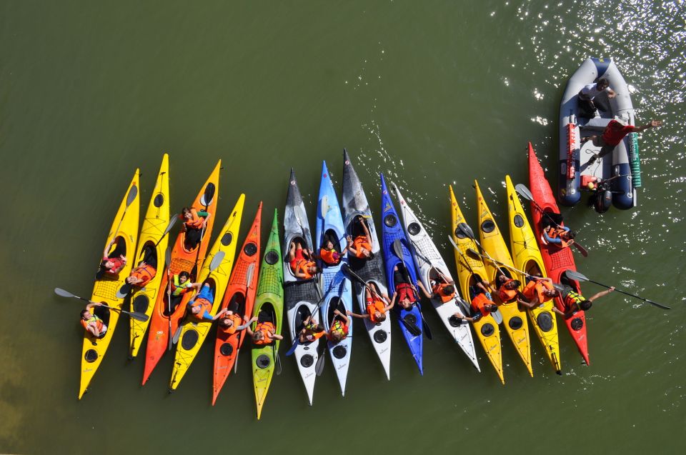 Seville: Guadalquivir River Kayak Tour or Kayak Rental - Tour Overview