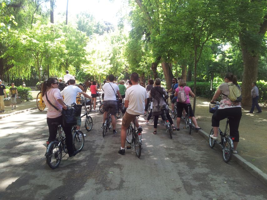 Seville: Half-Day Private Tour by Electric Bike - Tour Overview