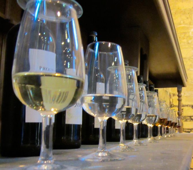 Seville: Jerez and Cadiz Wine Tasting & Horse Show Day Trip - Tour Details