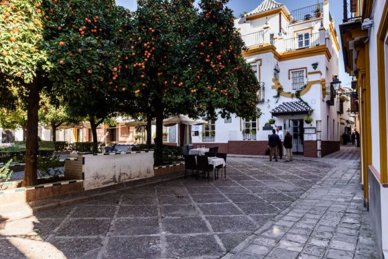 Seville: Santa Cruz Private Tour