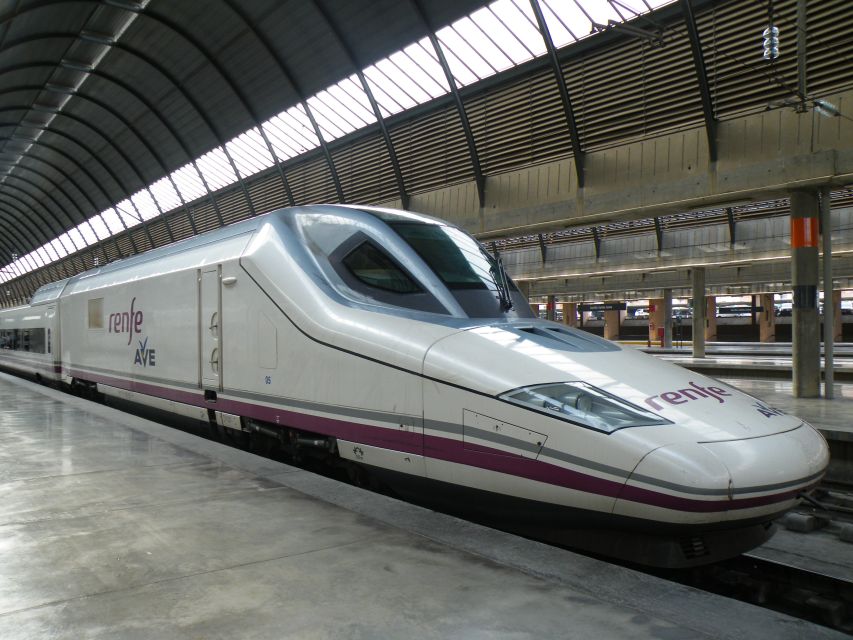 Seville: Transfer to Santa Justa Train Station - Pick-Up Logistics