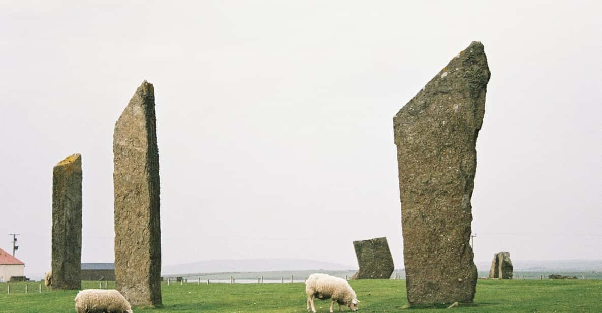 Shore Excursion Kirkwall: Small Group Highlights of Orkney - Booking and Cancellation Policy