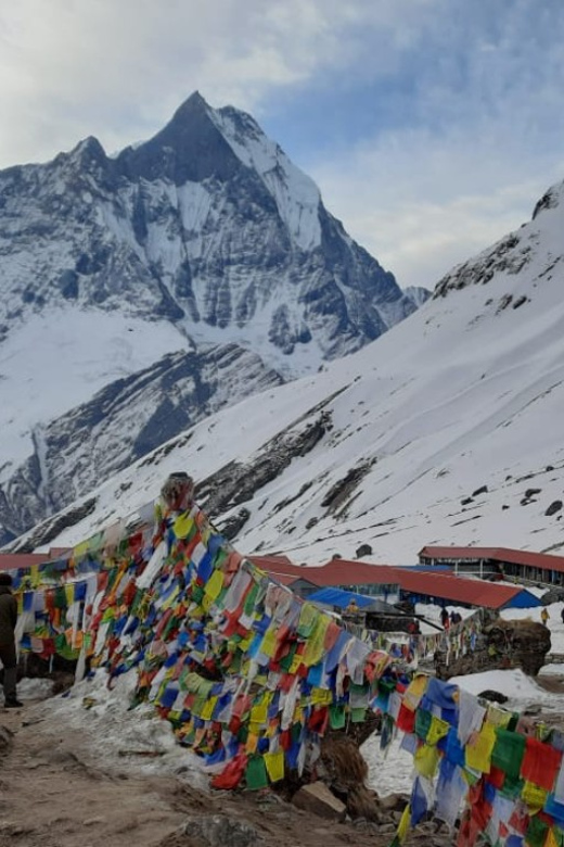 Short Annapurna Base Camp Trek - 8 Days - Inclusions and Accommodations