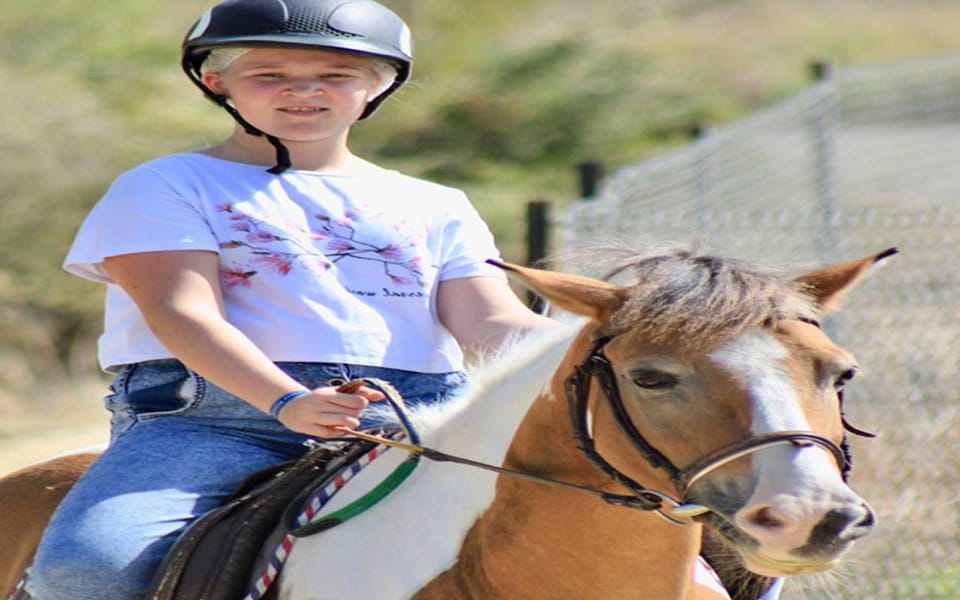 Side: Horse Safari Tour - Overview of the Tour