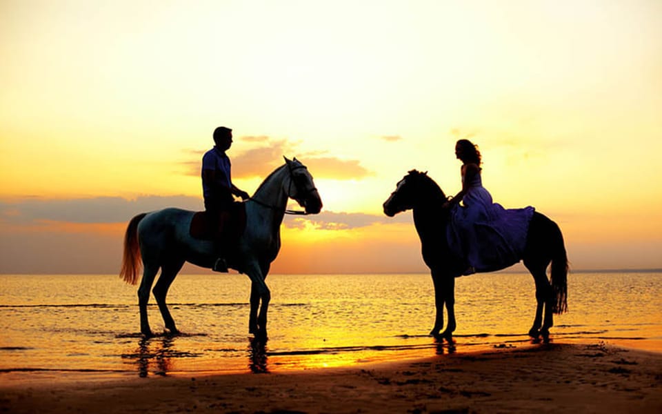 Side: Horseback Riding Tour in Nature With Transfer - Tour Overview and Pricing