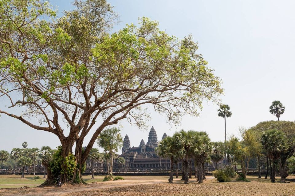 Siem Reap: Angkor Wat Small-Group Historical Day Tour - Overview of the Tour