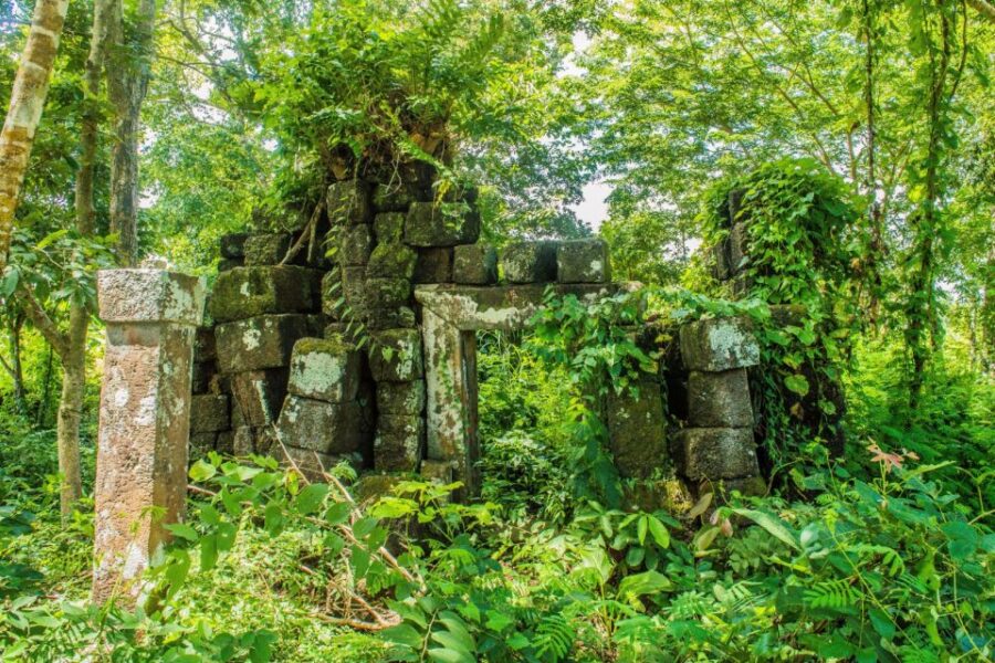 Siem Reap: Day Trip to Koh Ker and Beng Mealea Temples - Overview of the Day Trip
