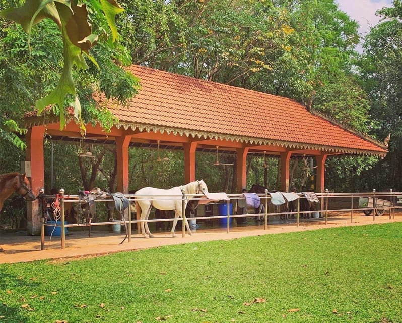 Siem Reap Happy Horse Riding Free Pick-up & Drop-off