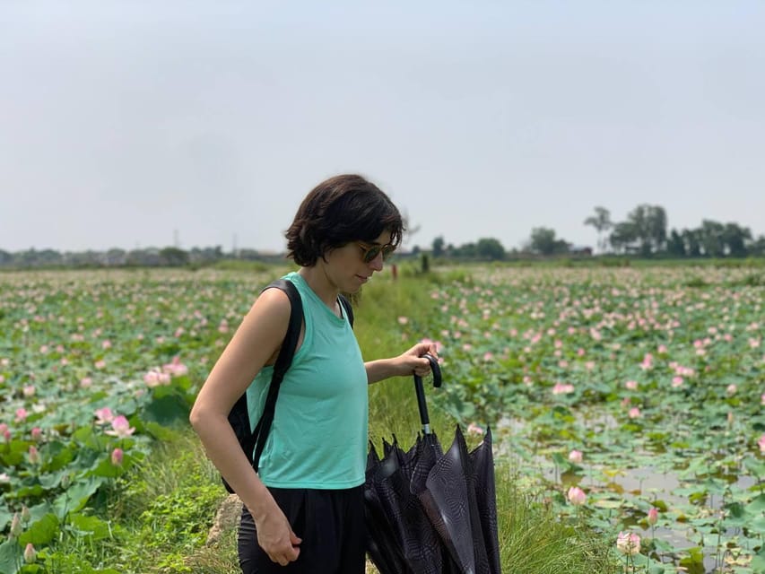 Siem Reap: Khmer Water Blessing by Monk and Lotus Farm Visit - Tour Overview and Pricing